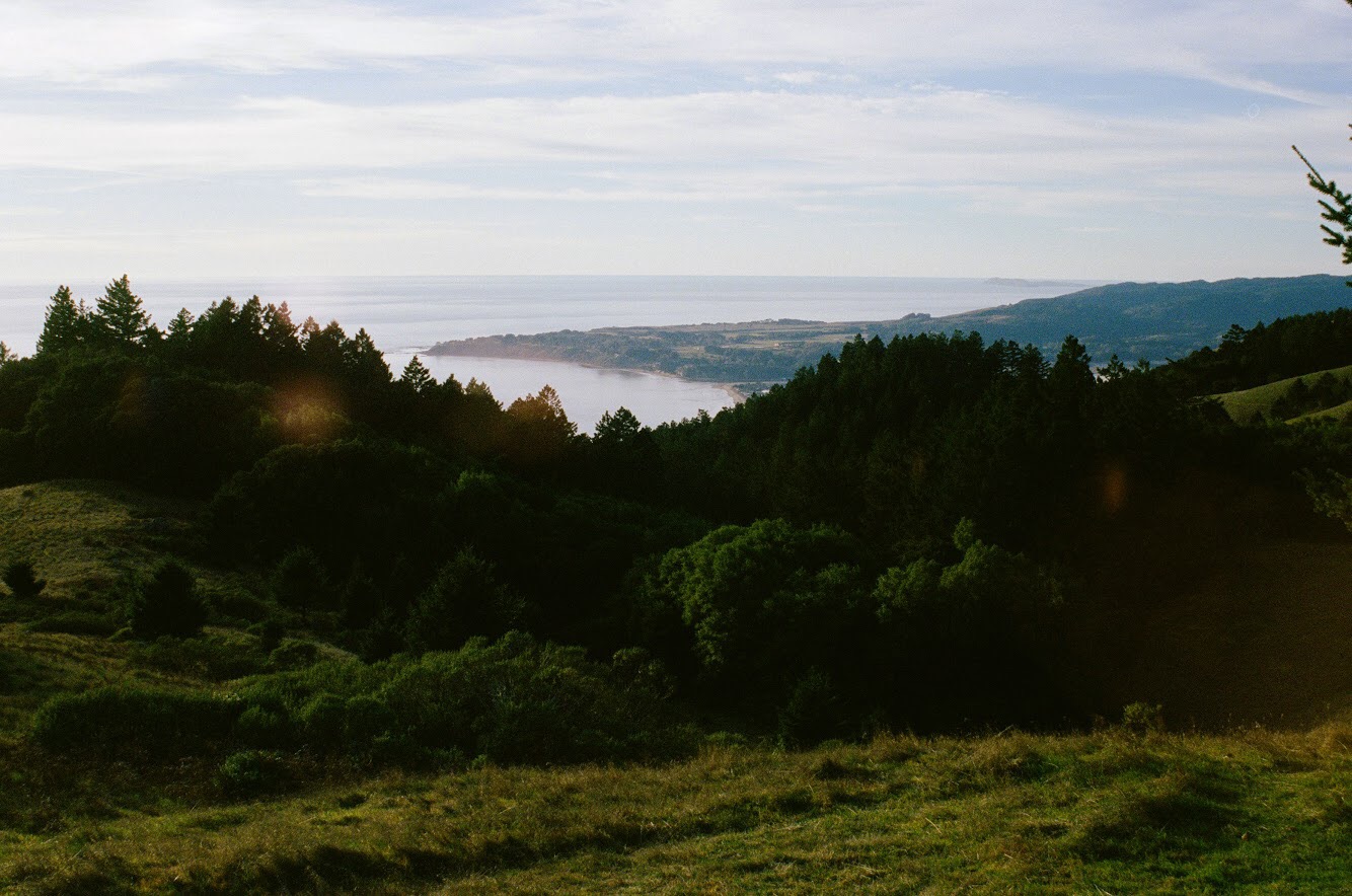 Landscape photo of evergreen trees, hills, and mist rolling into the coast in California. The sky is cloudy. 